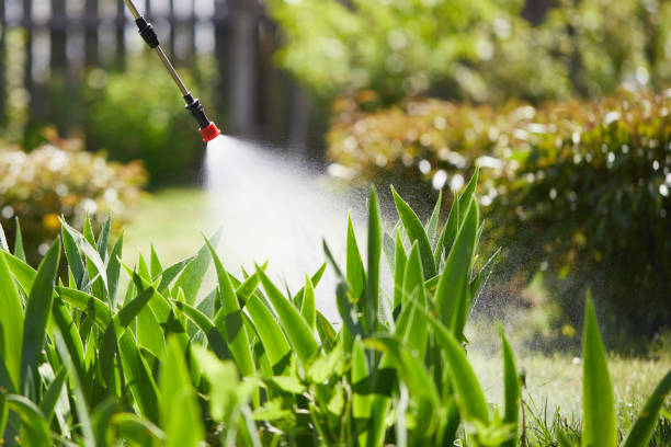 24/7 Emergency Wasp Removal experts in Long Beach, MS