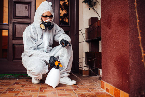 Reliable Wasp Removal contractor in Long Beach, MS by Show Me Pest Control
